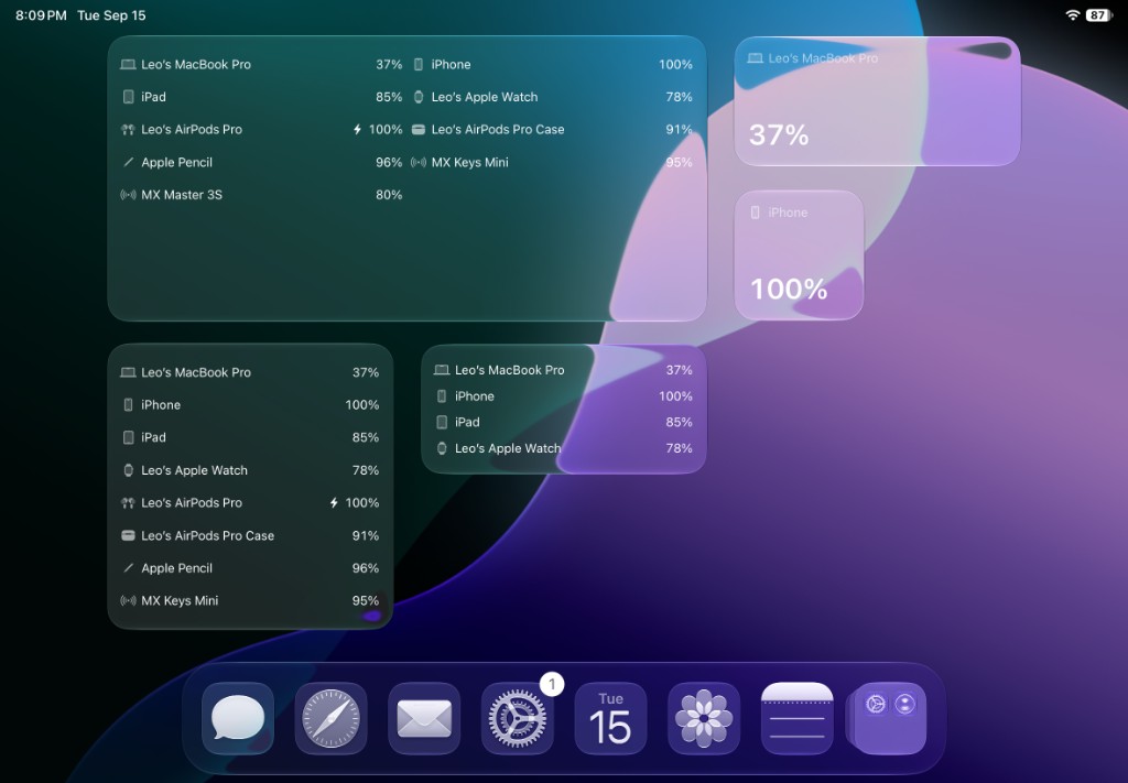 iPad widgets landscape